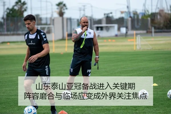 山东泰山亚冠备战进入关键期 阵容磨合与临场应变成外界关注焦点